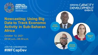 Nowcasting: Using Big Data to Track Economic Activity in Sub-Saharan Africa