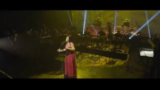 Evanescence Synthesis Live Tour Australia