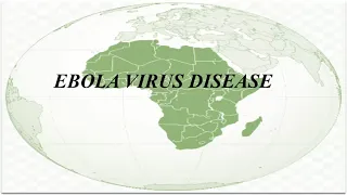 Tutorial Lecture Series on Infectious Diseases Affecting Africa Part 3