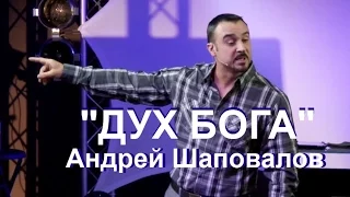 ДУХ БОГА...Андрей Шаповалов