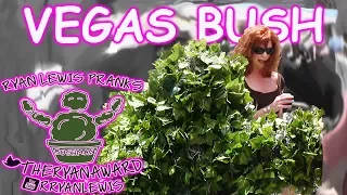 THE BUSHMAN SCARE PRANK Las Vegas Strip Bushman S05E15 Bushweek 2017 #bushweek @youtube #funnyvideo