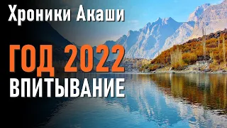 Год 2022 — впитывание. Хроники Акаши.-ченнелинг