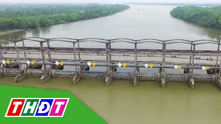 Độ mặn tại các nhánh sông Mekong đang giảm | THDT