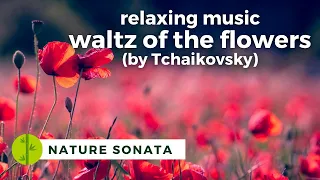 Waltz of the Flowers (by Tchaikovsky) | Relaxing Music and Sounds of Nature | Nature Sonata 🍃