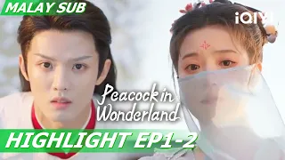 Li Muyang took Hua Ni to see the starry sky✨ | Peacock in Wonderland 孔雀圣使请动心 EP1-2 | iQIYI Malaysia