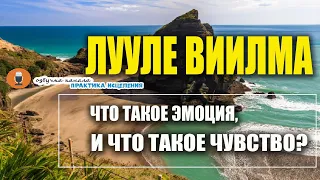 ОТЛИЧИЕ ЧУВСТВ от ЭМОЦИЙ//ЛУУЛЕ ВИИЛМА