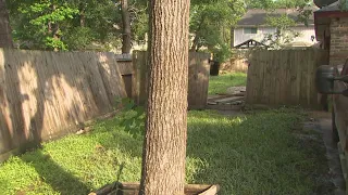 Texas flooding: Conroe family returns home after evacuating due to rising flood waters