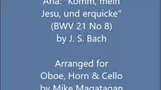 Aria: "Komm, mein Jesu, und erquicke" (BWV 21 No 8) for Oboe, Horn & Cello