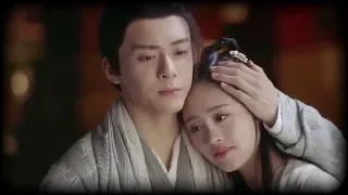 Zhang wuji  &  zhou zhiruo  (bambi zhu) Zhu xudan