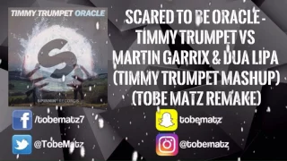 Scared To Be Oracle - Timmy Trumpet vs Martin Garrix (Timmy Trumpet Mashup) (Remake)