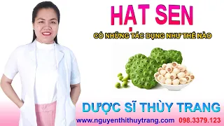 Tác dụng của hạt sen có tốt cho da và sức khỏe không