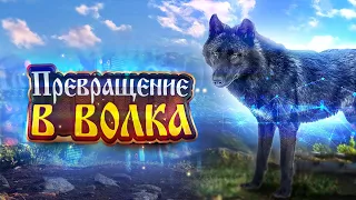 Превращение в Волка 🐺