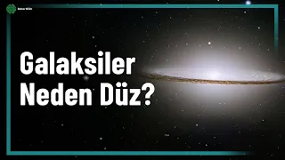 EVRENDE HER ŞEY NEDEN DÜZ?