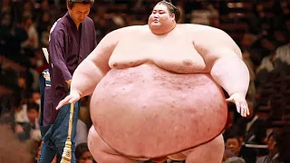13 Dinge, die du nicht über Sumo-Kämpfer wusstest