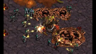 ⚡BEST OF FIVE!⚡ FLASH! 🇰🇷 (T) vs LARVA! 🇰🇷 (Z) - StarCraft - Brood War REMASTERED