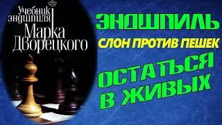 ЭНДШПИЛЬ. ОСТАТЬСЯ В ЖИВЫХ. СЛОН ПРОТИВ ПЕШЕК. ЛАДЕЙНЫЕ ПЕШКИ