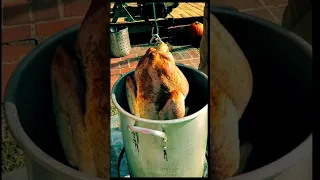 One Minute of #Thanksgiving Zen… #FriedTurkey #GivingThanks #GenX #GenerationX #GenXHumor