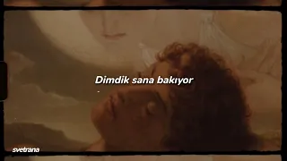 tili tili bom - türkçe çeviri