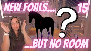 Breeding MORE foals and choosing a CHAMPION... Equestrian the Game Ep15