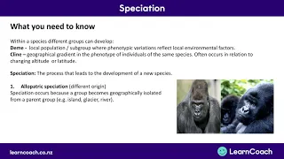 NCEA Biology L3 : Speciation