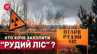 Не орками єдиними: хто насправді «дерибанить» Чорнобильський ліс? | СтопКор