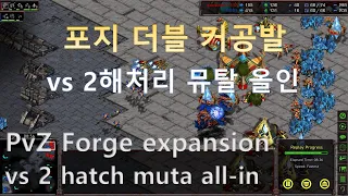 [Eng Sub] [PvZ] Forge expansion vs 2 hatch muta all-in // How to block it?