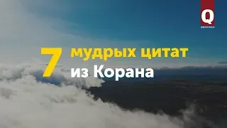 7 мудрых цитат из Корана