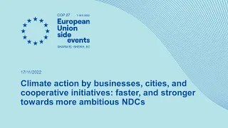 Climate action by businesses, cities, and cooperative initiatives: faster, and stronger towards m...