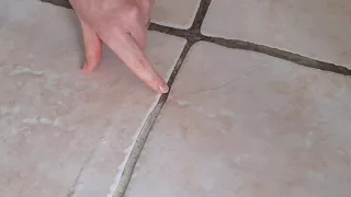 Clean the tile joints and the floor with natural products