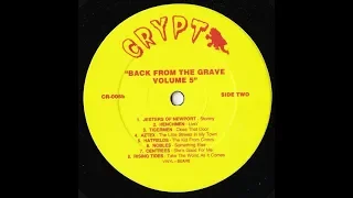 Back From The Grave VOL #5 LP (GARAGE 60'S)