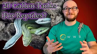 Top 5 Reptiles That Can Live In A 20 Gallon Enclosure FOREVER | Part I