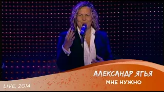 Александр Ягья — Мне нужно (LIVE, 2014)