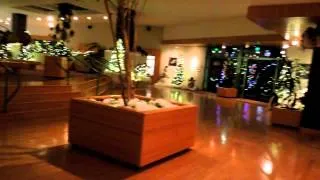 DSCN0322  Video in Lobby of Moon River Theater