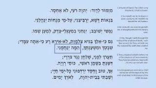 Psalm 23 sung in Hebrew by Reisa Mukamal