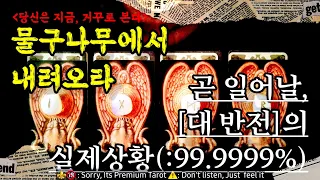 [말룸타로]  “곧 일어날 반전의 99.9999%-실제상황.”  (:어제의 실패? 내일 당신이 씹어삼킬 성공-유산균이었다!)