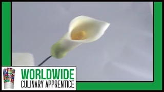 Creating Beautiful Sugar Gum Paste Calla Lilies: A Step-by-Step Tutorial for Cake Decorating