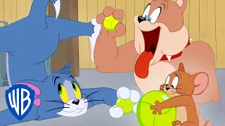 Tom y Jerry en Latino | La pelota de los sueños de Tom | WB Kids