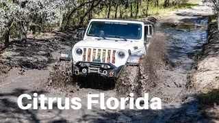 Off-Roading In Citrus Florida!