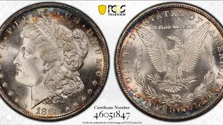 Crackout ANACS to PCGS - AMAZING Results! - Uncirculated Morgan Silver Dollars