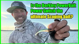 The best forward facing sonar bait?