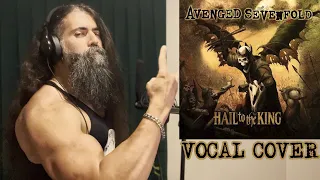 Avenged Sevenfold - Hail To The King (Berzan Önen vocal cover)