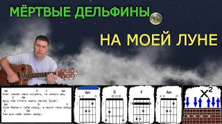 Как научиться играть на гитаре песню МЁРТВЫЕ ДЕЛЬФИНЫ - НА МОЕЙ ЛУНЕ (cover) + разбор