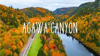 The Best Fall Colour Trip in Ontario Agawa Canyon Train Tour