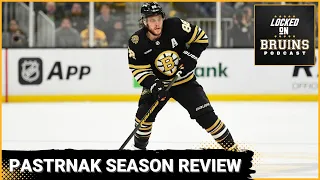 David Pastrnak Season in Review: Elite NHL Winger, IIHF World Champion