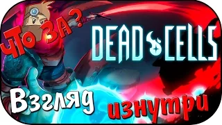 Что за Dead Cells ? - Взгляд Изнутри