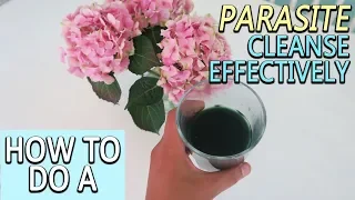 How To Do A Parasite Cleanse Effectively