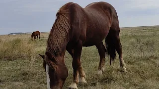 Сентябрь, бархатный сезон.