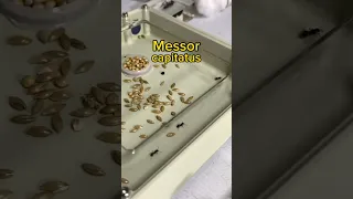 J’ai reçu du nouveau matériel pour mes fourmis