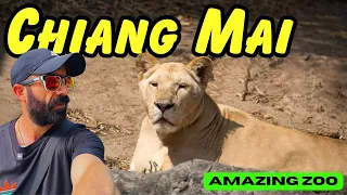 Exploring Chiang Mai Zoo: Is It Worth the Visit? 🇹🇭