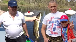 Ловля щуки на кружки часть 2.The pike fishing on mugs.